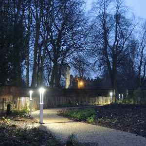 The Edible Wood pictured at dusk lit by electric lanterns